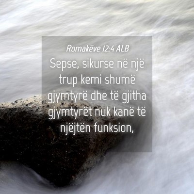 Picture 04 - Romakëve 12:4 ALB - Sepse, sikurse në një trup kemi shumë - Bible Verse Picture