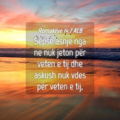 Picture 04 - Romakëve 14:7 ALB - Sepse asnjë nga ne nuk jeton për veten e tij - Bible Verse Picture