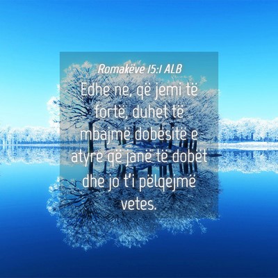 Picture 04 - Romakëve 15:1 ALB - Edhe ne, që jemi të fortë, duhet të mbajmë - Bible Verse Picture