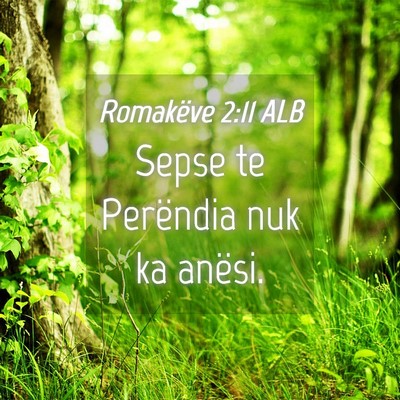 Picture 04 - Romakëve 2:11 ALB - Sepse te Perëndia nuk ka - Bible Verse Picture