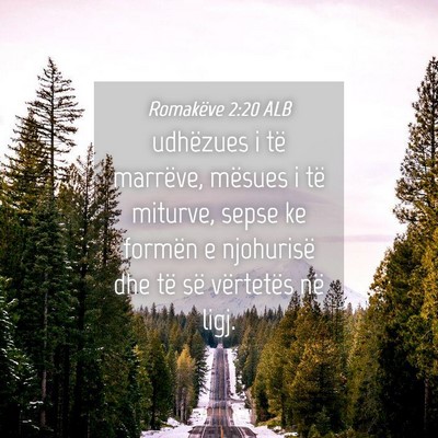 Picture 04 - Romakëve 2:20 ALB - udhëzues i të marrëve, mësues i të miturve, - Bible Verse Picture