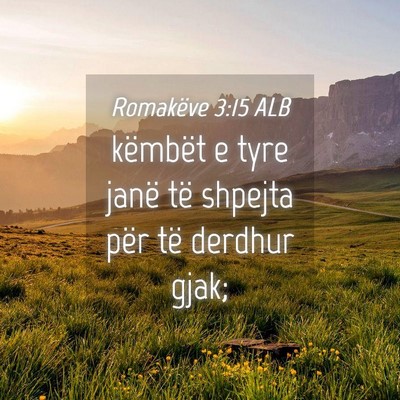 Picture 04 - Romakëve 3:15 ALB - këmbët e tyre janë të shpejta për të - Bible Verse Picture