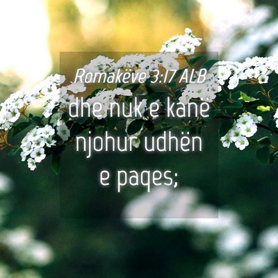 Picture 04 - Romakëve 3:17 ALB - dhe nuk e kanë njohur udhën e - Bible Verse Picture