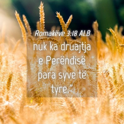 Picture 04 - Romakëve 3:18 ALB - nuk ka druajtja e Perëndisë para syve të - Bible Verse Picture