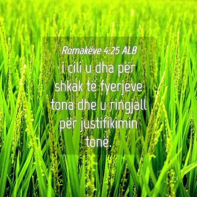 Picture 04 - Romakëve 4:25 ALB - i cili u dha për shkak të fyerjeve tona dhe u - Bible Verse Picture