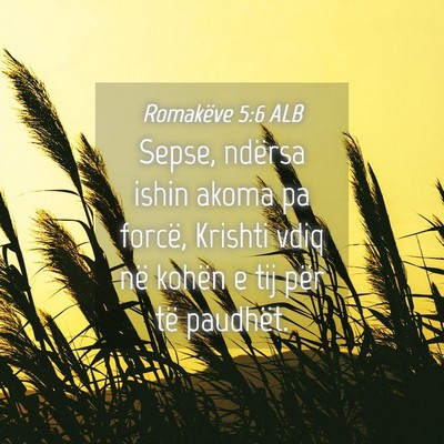 Picture 04 - Romakëve 5:6 ALB - Sepse, ndërsa ishin akoma pa forcë, Krishti - Bible Verse Picture