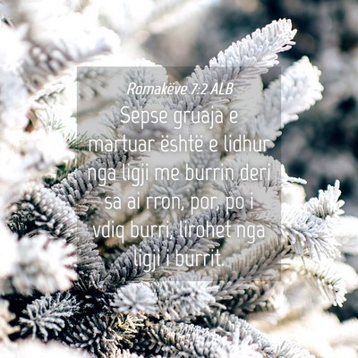 Picture 04 - Romakëve 7:2 ALB - Sepse gruaja e martuar është e lidhur nga ligji - Bible Verse Picture