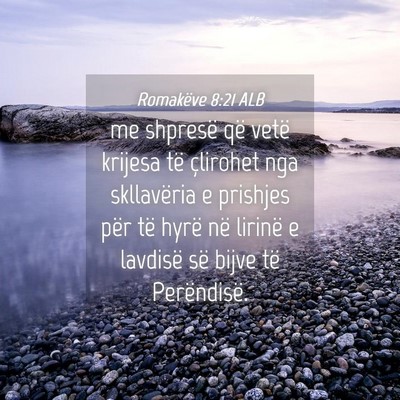 Picture 04 - Romakëve 8:21 ALB - me shpresë që vetë krijesa të çlirohet nga - Bible Verse Picture