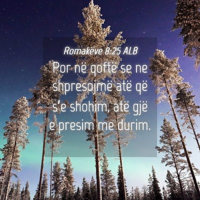Picture 04 - Romakëve 8:25 ALB - Por në qoftë se ne shpresojmë atë që s’e - Bible Verse Picture
