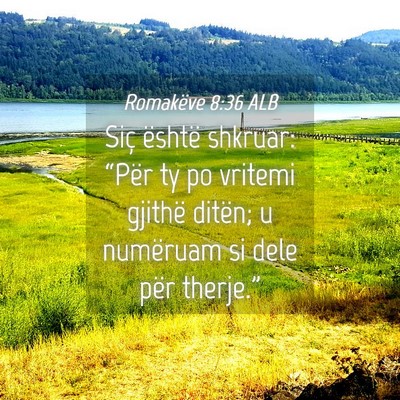 Picture 04 - Romakëve 8:36 ALB - Siç është shkruar: “Për ty po vritemi - Bible Verse Picture