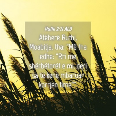 Picture 04 - Ruthi 2:21 ALB - Atëherë Ruthi, Moabitja, tha: 