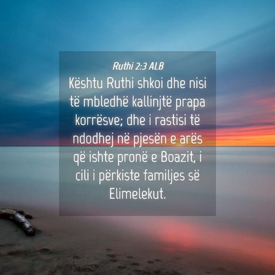 Picture 04 - Ruthi 2:3 ALB - Kështu Ruthi shkoi dhe nisi të mbledhë - Bible Verse Picture