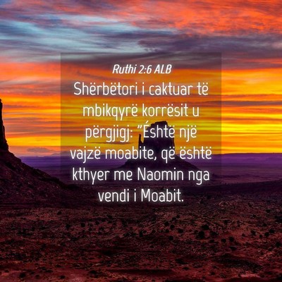 Picture 04 - Ruthi 2:6 ALB - Shërbëtori i caktuar të mbikqyrë korrësit u - Bible Verse Picture