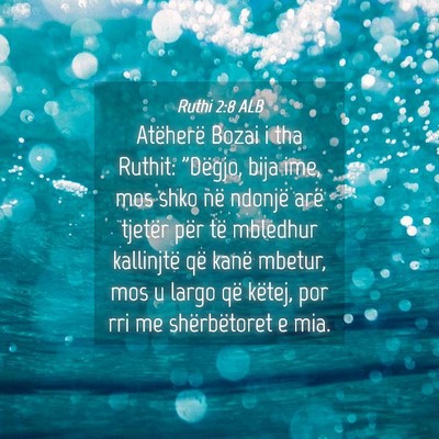Picture 04 - Ruthi 2:8 ALB - Atëherë Bozai i tha Ruthit: 