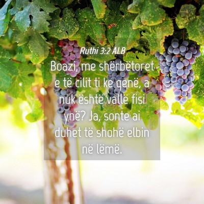 Picture 04 - Ruthi 3:2 ALB - Boazi, me shërbëtoret e të cilit ti ke qenë, - Bible Verse Picture