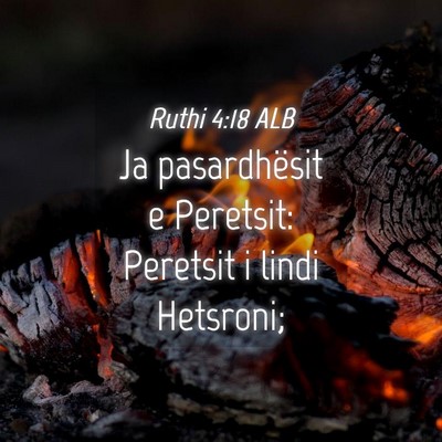 Picture 04 - Ruthi 4:18 ALB - Ja pasardhësit e Peretsit: Peretsit i lindi - Bible Verse Picture