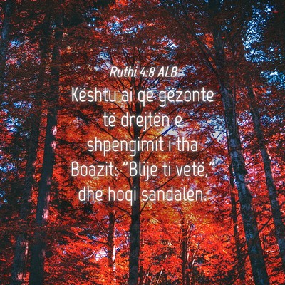 Picture 04 - Ruthi 4:8 ALB - Kështu ai që gëzonte të drejtën e shpengimit - Bible Verse Picture
