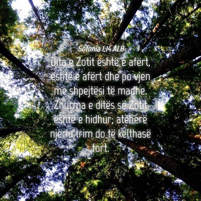 Picture 04 - Sofonia 1:14 ALB - Dita e Zotit është e afërt, është e afërt - Bible Verse Picture