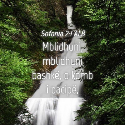 Picture 04 - Sofonia 2:1 ALB - Mblidhuni, mblidhuni bashkë, o komb i - Bible Verse Picture