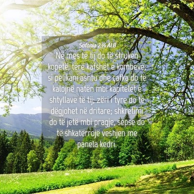 Picture 04 - Sofonia 2:14 ALB - Në mes të tij do të struken kopetë, tërë - Bible Verse Picture