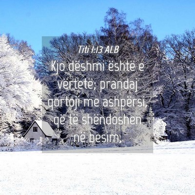 Picture 04 - Titi 1:13 ALB - Kjo dëshmi është e vërtetë; prandaj qortoji - Bible Verse Picture