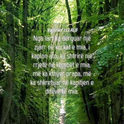 Picture 04 - Vajtimet 1:13 ALB - Nga lart ka dërguar një zjarr në kockat e mia, - Bible Verse Picture