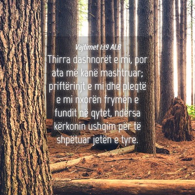 Picture 04 - Vajtimet 1:19 ALB - Thirra dashnorët e mi, por ata më kanë - Bible Verse Picture