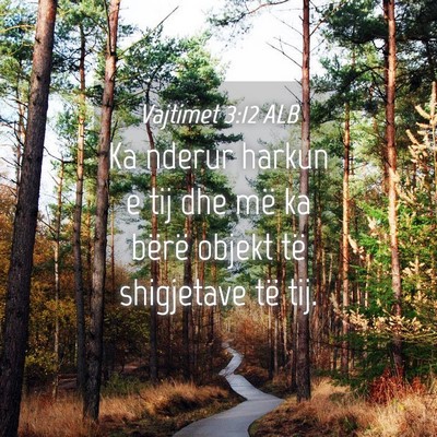 Picture 04 - Vajtimet 3:12 ALB - Ka nderur harkun e tij dhe më ka bërë objekt - Bible Verse Picture