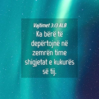 Picture 04 - Vajtimet 3:13 ALB - Ka bërë të depërtojnë në zemrën time - Bible Verse Picture