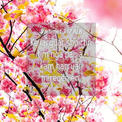 Picture 04 - Vajtimet 3:17 ALB - Ke larguar shpirtin tim nga paqja, kam harruar - Bible Verse Picture