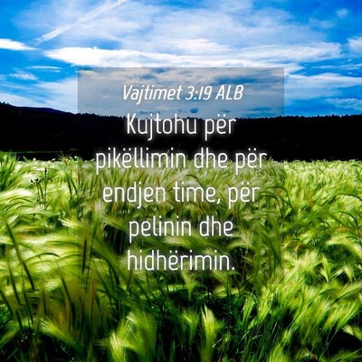 Picture 04 - Vajtimet 3:19 ALB - Kujtohu për pikëllimin dhe për endjen time, - Bible Verse Picture