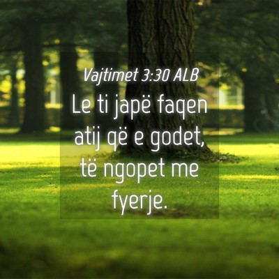 Picture 04 - Vajtimet 3:30 ALB - Le ti japë faqen atij që e godet, të ngopet me - Bible Verse Picture