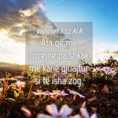 Picture 04 - Vajtimet 3:52 ALB - Ata që më urrejnë pa shkak më kanë gjuajtur - Bible Verse Picture