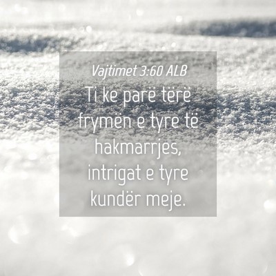 Picture 04 - Vajtimet 3:60 ALB - Ti ke parë tërë frymën e tyre të hakmarrjes, - Bible Verse Picture