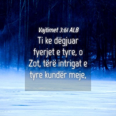 Picture 04 - Vajtimet 3:61 ALB - Ti ke dëgjuar fyerjet e tyre, o Zot, tërë - Bible Verse Picture