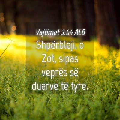 Picture 04 - Vajtimet 3:64 ALB - Shpërbleji, o Zot, sipas veprës së duarve të - Bible Verse Picture