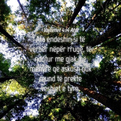 Picture 04 - Vajtimet 4:14 ALB - Ata endeshin si të verbër nëpër rrugë, të - Bible Verse Picture