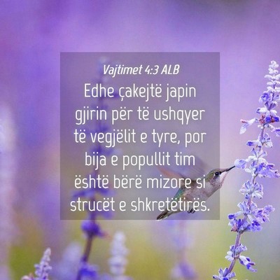 Picture 04 - Vajtimet 4:3 ALB - Edhe çakejtë japin gjirin për të ushqyer të - Bible Verse Picture
