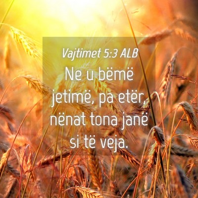 Picture 04 - Vajtimet 5:3 ALB - Ne u bëmë jetimë, pa etër, nënat tona janë - Bible Verse Picture