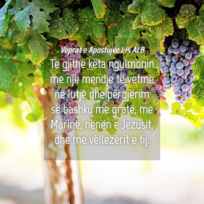 Picture 04 - Veprat e Apostujve 1:14 ALB - Të gjithë këta ngulmonin me një mendje të - Bible Verse Picture
