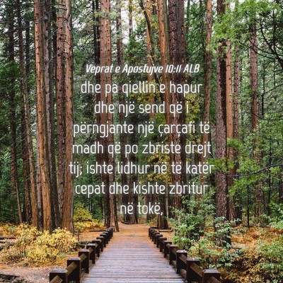 Picture 04 - Veprat e Apostujve 10:11 ALB - dhe pa qiellin e hapur dhe një send që i - Bible Verse Picture