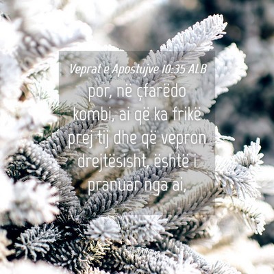 Picture 04 - Veprat e Apostujve 10:35 ALB - por, në çfarëdo kombi, ai që ka frikë prej - Bible Verse Picture