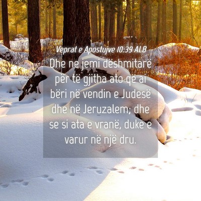 Picture 04 - Veprat e Apostujve 10:39 ALB - Dhe ne jemi dëshmitarë për të gjitha ato që - Bible Verse Picture