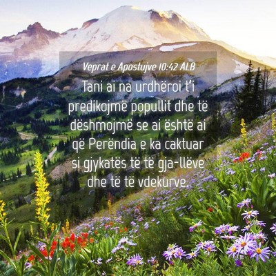 Picture 04 - Veprat e Apostujve 10:42 ALB - Tani ai na urdhëroi t’i predikojmë popullit - Bible Verse Picture