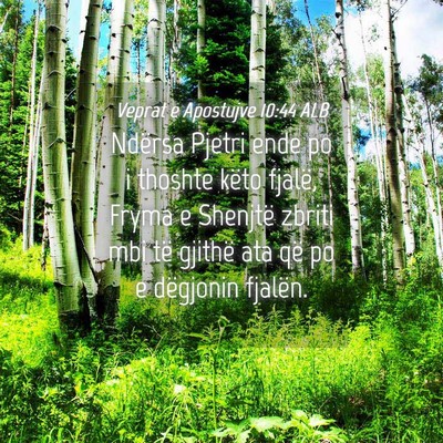 Picture 04 - Veprat e Apostujve 10:44 ALB - Ndërsa Pjetri ende po i thoshte këto fjalë, - Bible Verse Picture