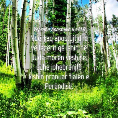 Picture 04 - Veprat e Apostujve 11:1 ALB - Ndërkaq apostujt dhe vëllezërit që ishin në - Bible Verse Picture