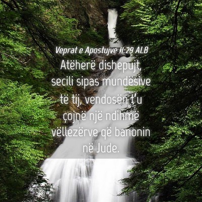 Picture 04 - Veprat e Apostujve 11:29 ALB - Atëherë dishepujt, secili sipas mundësive të - Bible Verse Picture