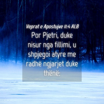 Picture 04 - Veprat e Apostujve 11:4 ALB - Por Pjetri, duke nisur nga fillimi, u shpjegoi - Bible Verse Picture