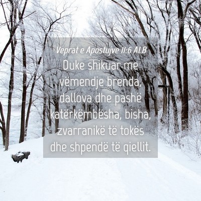 Picture 04 - Veprat e Apostujve 11:6 ALB - Duke shikuar me vëmendje brenda, dallova dhe - Bible Verse Picture