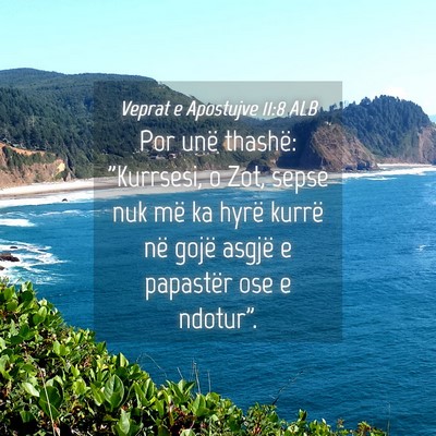 Picture 04 - Veprat e Apostujve 11:8 ALB - Por unë thashë: 